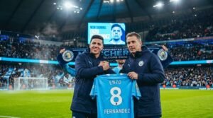 Enzo Fernandez Transfer
